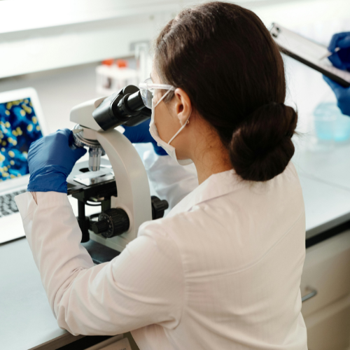 Biomed Research